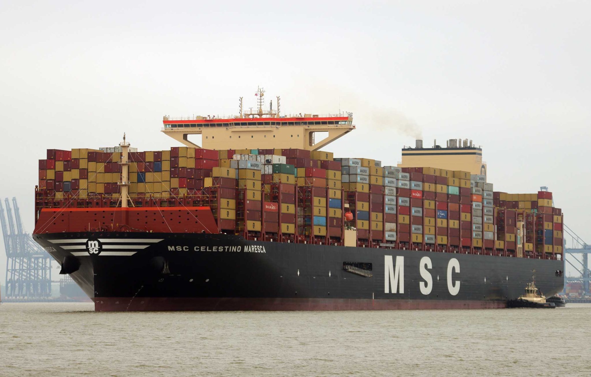 Latest MSC Container Giant Makes Her European Debut Ships Monthly