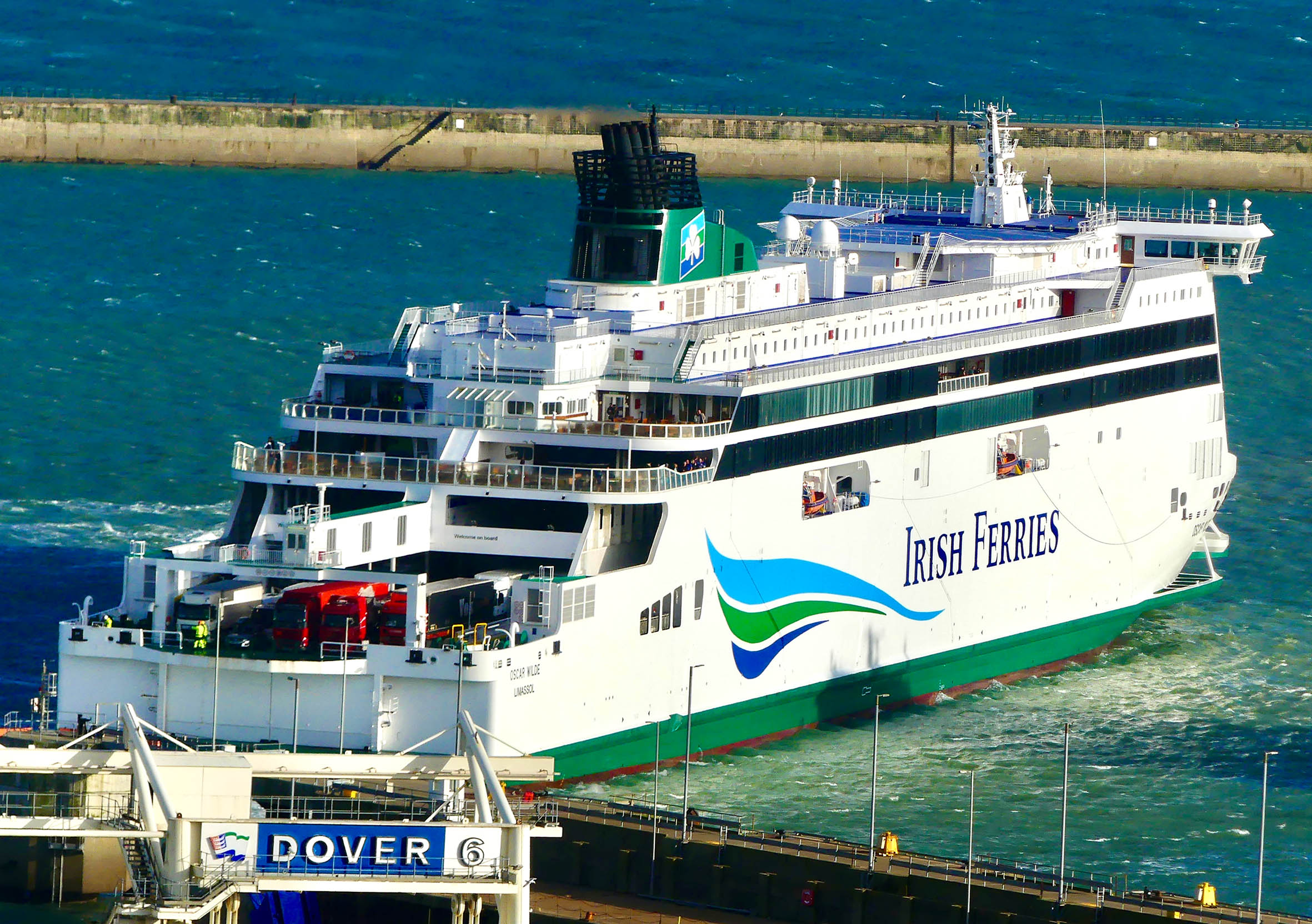 can you take dogs on irish ferries